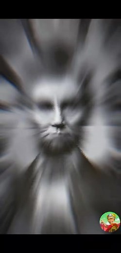 33K views · 422 reactions | Crazy Facts About Historical Figures #shorts #history | Wisdom Gems | Facebook