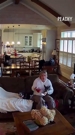 Did he just abandon his wife? 👀 #surprise #scare #bird #bat #shorts