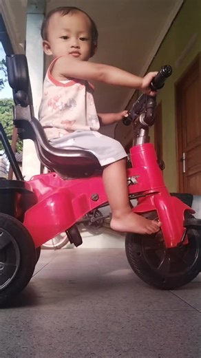 Exploring the Joy of Car Sounds and Music