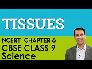 Tissues Science Biology Chapter 6 CBSE (NCERT) Class 9 (IX) Science