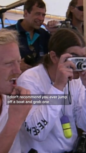 14K views · 183 reactions | This Snake Breathes Through It's Bum | Real Wild | Facebook