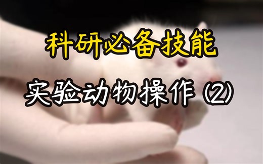 【直播课】科研必备技能---实验动物操作(2)