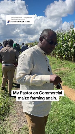 Improve Maize Farming with Expert Tips
