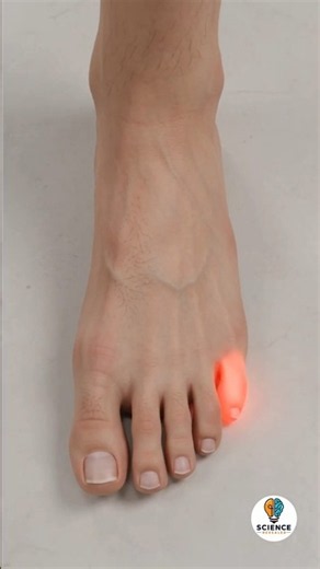 Why Stubbing Your Little Toe Hurts SO BAD 😭|science revealed🥶 #viral #sciencefacts #toes #humanbrain