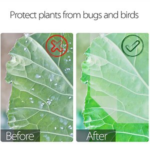 [Hot Item] Greenhouse Netting Anti Insect Net for Vegetable Gardens