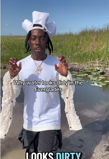 Why Wetland Water Looks Dirty | Everglades Biology