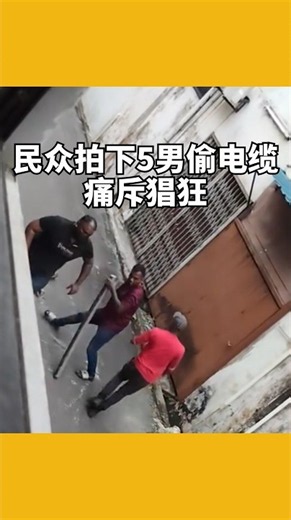 民众拍下5男偷电缆 痛斥猖狂