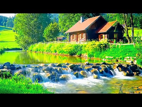 Relax in Nature, Gentle River for Calm, Focus & Sleep, Relaxing Nature Sounds