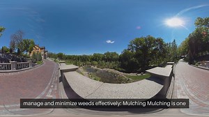 Cottage Garden Weeding Strategies