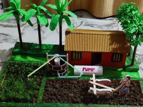 Science Project on Organic Farming