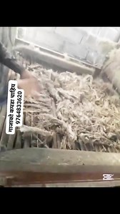 11K views · 434 reactions | How to process hemp fiber. www.ganeshhemp.com #ganeshhemp #drganesh #ganeshaidi #hempfiber | Ganesh Hemp | Facebook