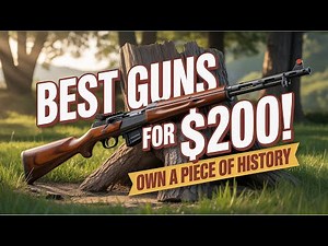 Got $200 Here Are the Best Guns You Can Get