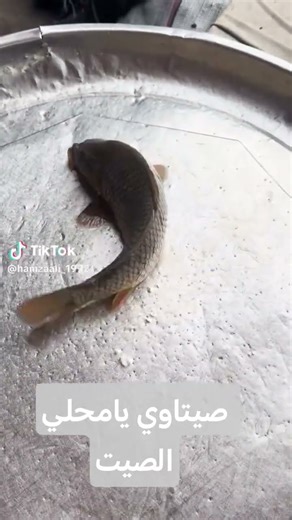 ١٤ ديسمبر، ٢٠٢٥