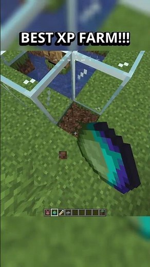 Best XP farm in Minecraft!!