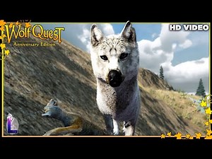 DAY 4: A FIGHT GONE WRONG! | WOLFQUEST ANNIVERSARY EDITION HD | FR Gameplay
