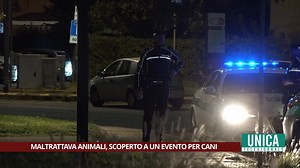 43K views · 221 reactions | La polizia provinciale lo aveva messo sotto indagine per maltrattamenti agli animali che teneva nei propri centri, come cani, oche e ovini. Alcuni di questi sarebbero morti per malnutrizione e per le sevizie subite. Fermato un addestratore 30enne a una manifestazione dedicata ai cani, in cui stava promuovendo la propria attività. | La Provincia Unica TV | Facebook