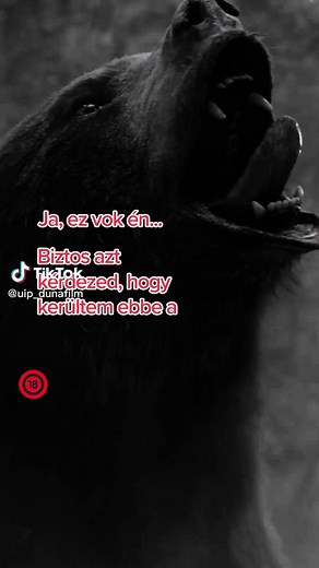 Kokainmedve – A film, ami elrabolja az agyad!