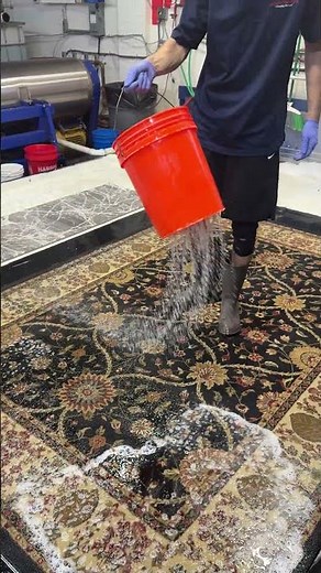 Get Dog Urine Out of a Rug? | Long Island
