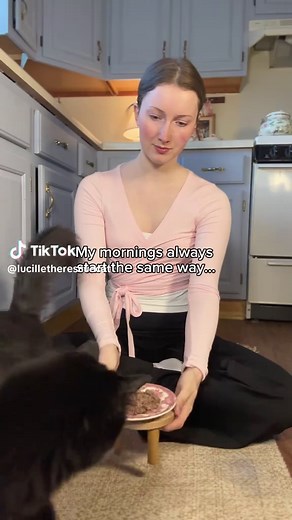 Picky Cat Food: Find What Your Cat Will Actually Eat