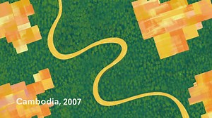 File:Why is biodiversity important - with Sir David Attenborough - The Royal Society.webm - Wikimedia Commons