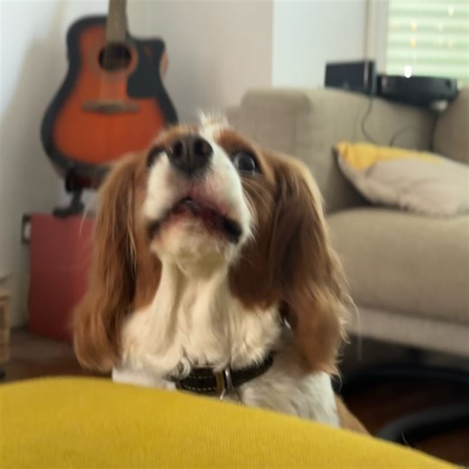 4.9K views · 25 reactions | Peter Finch Golf on Reels | Facebook