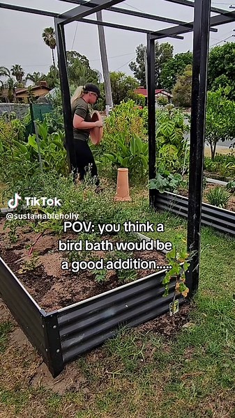 Enhance Your Garden with a Bird Bath