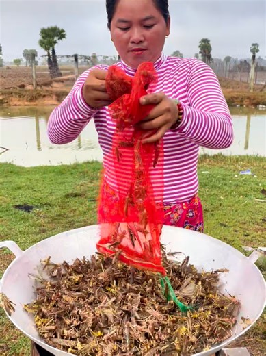 Yummy Fried Grasshopper Recipe #tiktokfood | foodtok