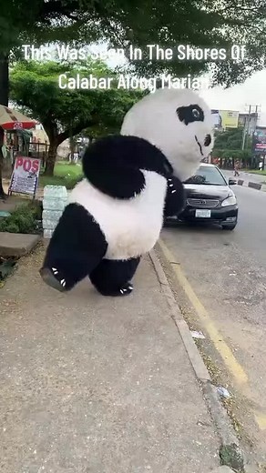 You don't want to miss being in calabar for the Christmas season. Alot of beautiful things to witness in calabar this season. #calabarblog | Calabar Blog Media