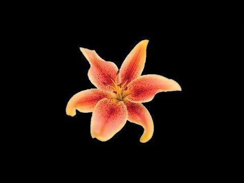 Random edit audios (pt.7) + Timestamps !!