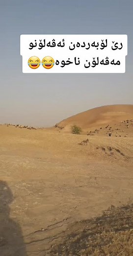 Brown Donkey Runs Across Desert Landscape