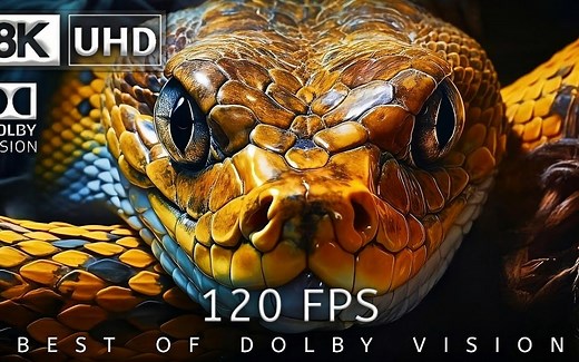 测试屏幕 壁纸级4K 8K HDR画质测试屏幕8K 极致HDR色彩体验 8K 视频超高清 120 - 最佳杜比视界 8K 120fps_哔哩哔哩_bilibili