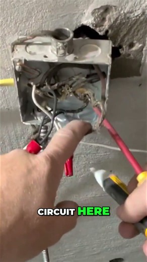 Protect Your Home: Surge Protector Install & Circuit Check! #shorts