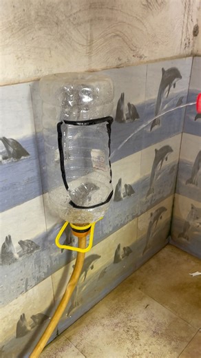 Max-manthan on Instagram: "Ye sahi hai guru 🤣🤣 #funny #reels"