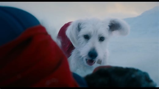 19M views · 348K reactions | Krypto is really (Super)man's best friend #Superman | Rotten Tomatoes | Facebook