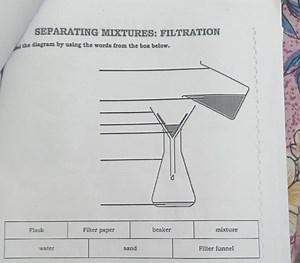 SEPARATING MIXTURES: FILTRATION pol the diagram by using the wo... | Filo