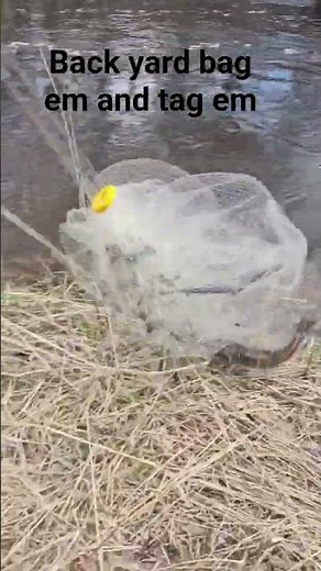 net casting in strong current