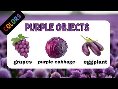 Learn Colours 🌈| Fun Colour Learning for Kids 🎨🌈🧒