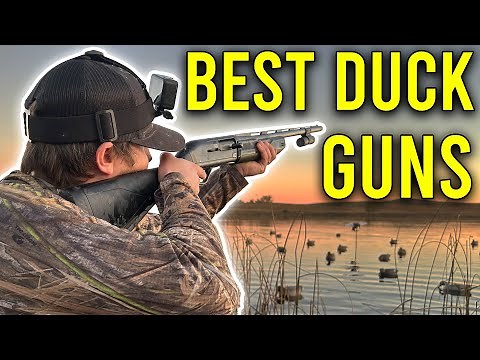What Is The Best Gun For Duck Hunting