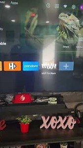 MVP tivi from downloader installation