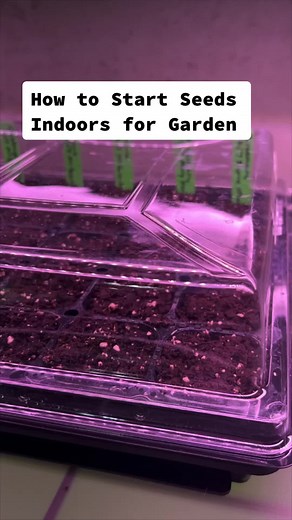 Starting Seeds Indoors for Spring Garden Success