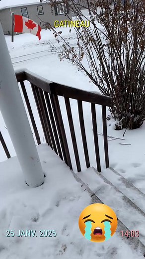 Owen Sound Snow: A Heartfelt Canadian Experience