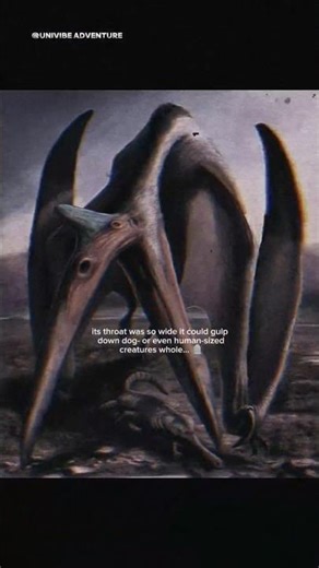 Largest known flying animal ever 💀#dinosaur #flying #reptiles
