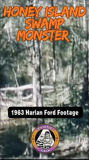 1963 Legendary Honey Island Monster Footage - #Louisiana Swamps #HoneyIslandSwamp #SkunkApe #Bigfoot