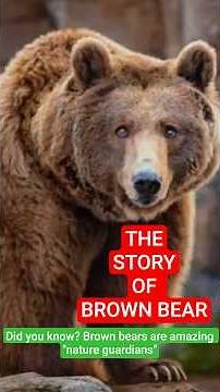 The Story of "Behind the Giant Body of the Brown Bear Interesting & Amazing Facts About Brown Bears"