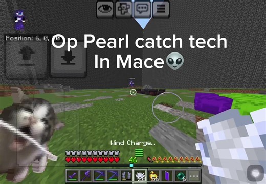 Using Panda Touch Pro in Minecraft Bedrock Edition