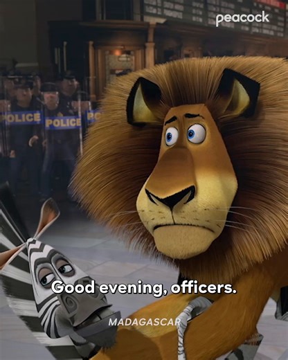Peacock on Instagram: "On the bright side, they're getting an all expense paid trip to Madagascar 🙂‍↕️ #Madagascar is streaming now on Peacock."