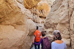 Anza-Borrego Slot Canyon Trail Guide | Outdoor SoCal