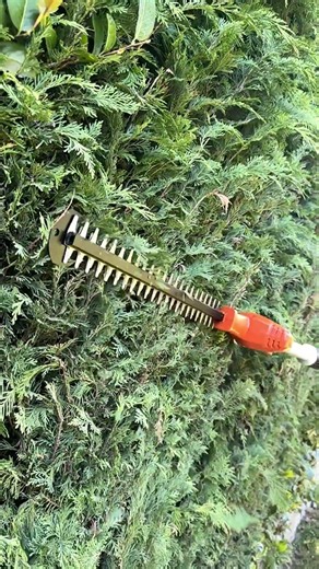 The STIHL HLA 40 cordless long-reach hedge trimmer 🌿✂️#stihl #stihlgb