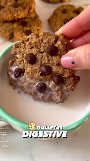 Delicious Digestive Chocolate Cookies Recipe