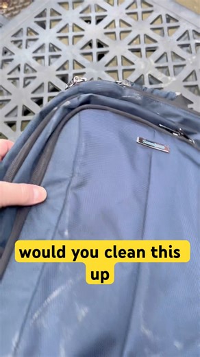 I Found a nice Samsonite backpack but it has one BIG problem